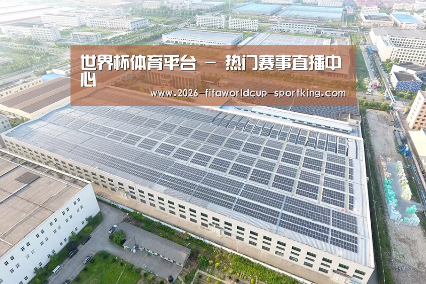 案例展示一
