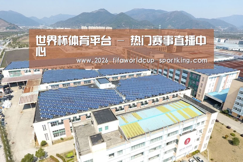 案例展示四