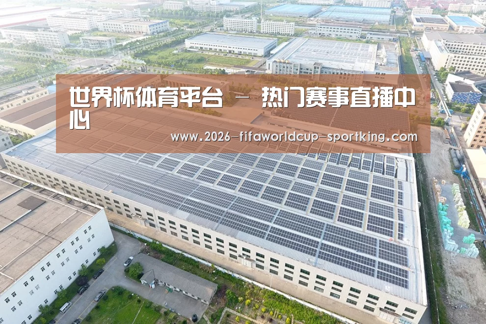 案例展示二