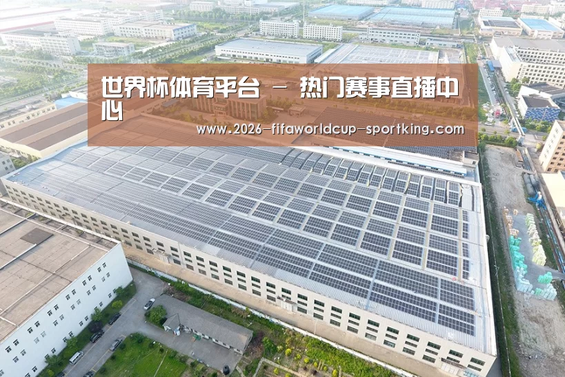 案例展示三