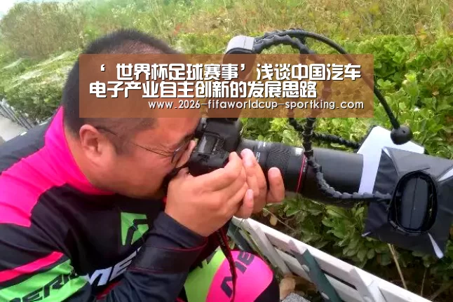 ‘ 世界杯足球赛事’浅谈中国汽车电子产业自主创新的发展思路(图1) 世界杯足球赛事