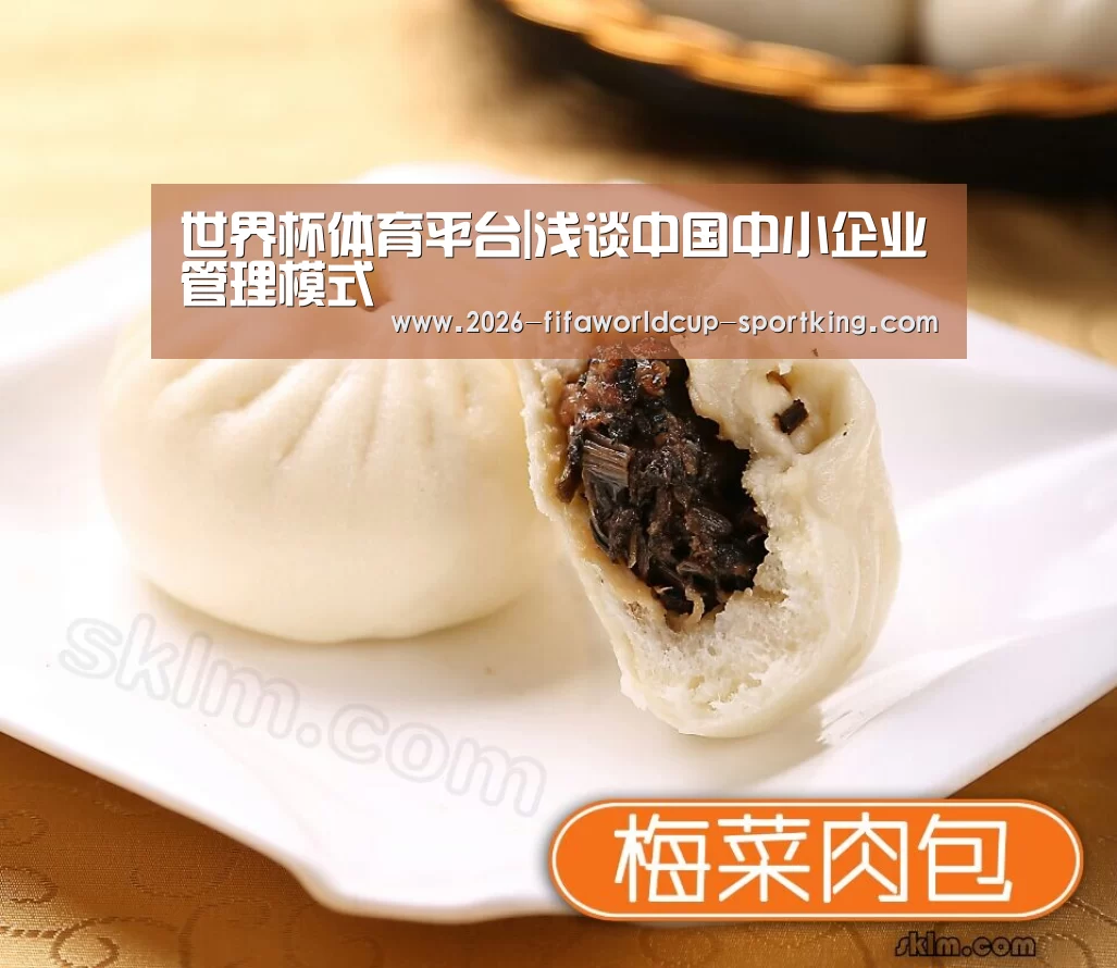 世界杯体育平台|浅谈中国中小企业管理模式(图2) 世界杯足球赛事