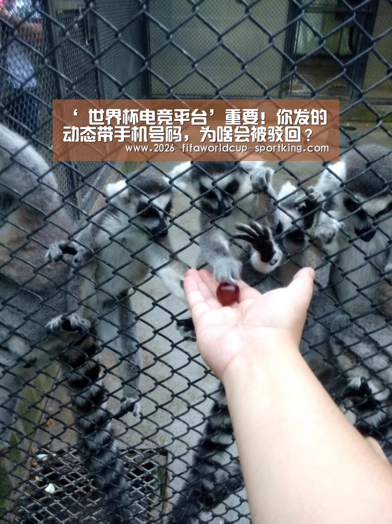 ‘ 世界杯电竞平台’重要!你发的动态带手机号码,为啥会被驳回?(图2) 世界杯最新地址