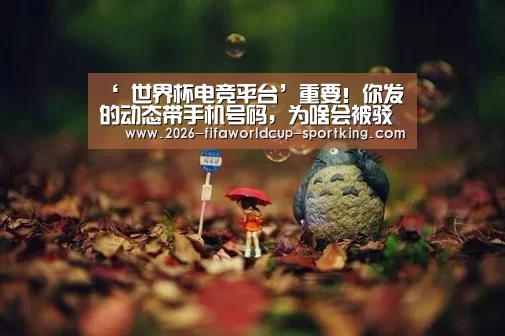 ‘ 世界杯电竞平台’重要!你发的动态带手机号码,为啥会被驳回?(图3) 世界杯足球赛事